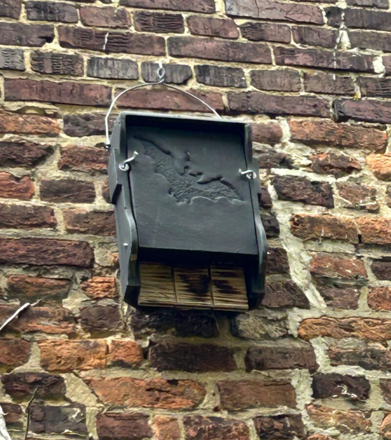 6. Vleermuis kasten