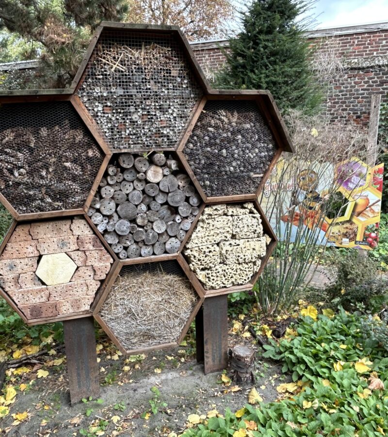 10. Insectenhotel